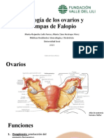 Histología de Los Ovarios y Trompas de Falopio