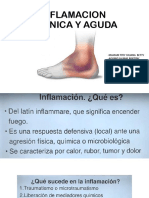 INFLAMACION AGUDA Y CRONICA. 1er Grupo PDF