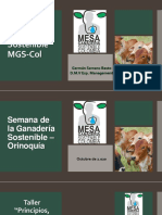 Pres Mesa de Ganaderia Sostenible MGS Col German Serrano