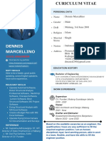 Blue Light Blue Color Blocks Flight Attendant CV