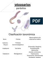 Protozoarios 121006223652 Phpapp01