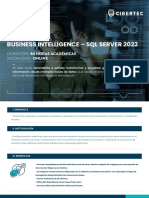 Business Intelligence SQL Server 2022
