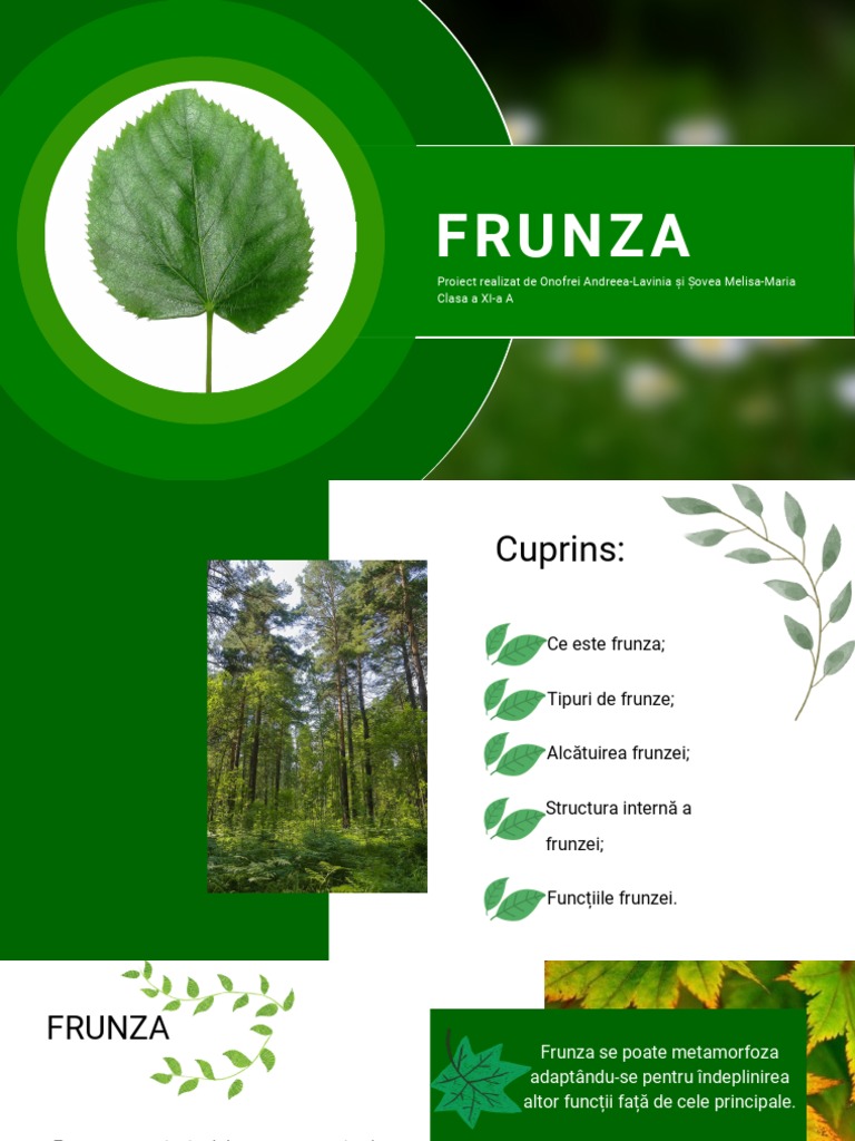 FRUNZA | PDF