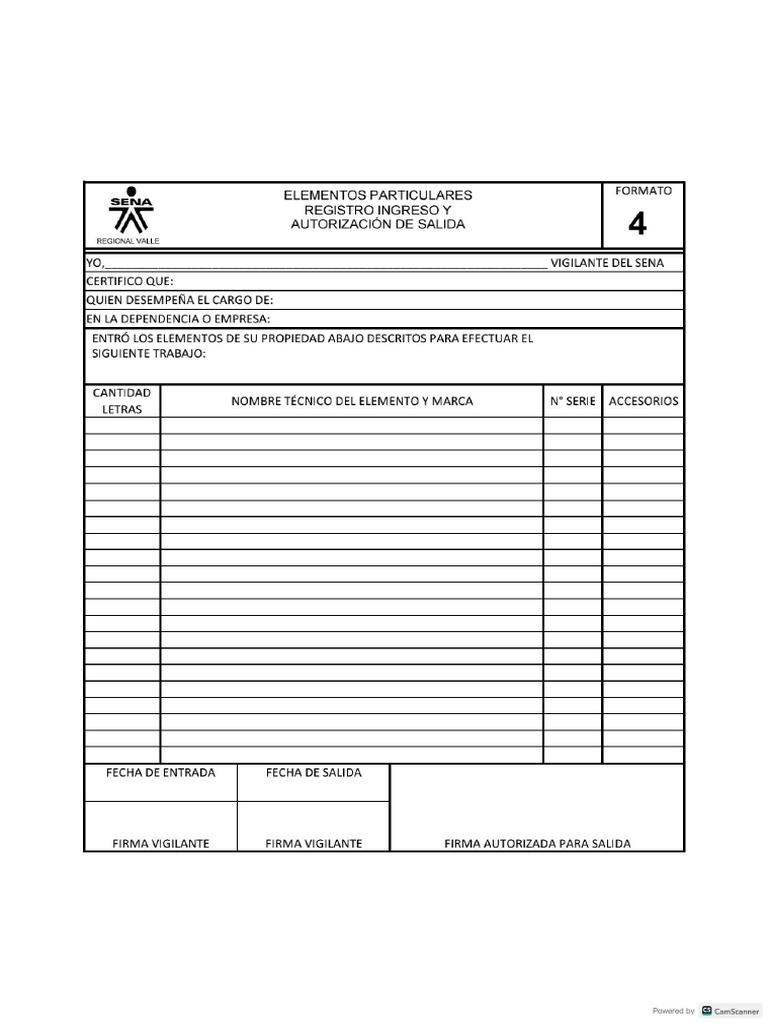 Formato 4-1 | PDF