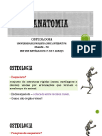 AULA 2. Osteologia