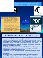 Curs 1risc - PPT Complet