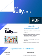 Plan Sully MX - 2021