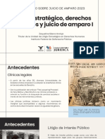 FINAL - Litigio Estratégico Derechos Humanos y Juicio de Amparo