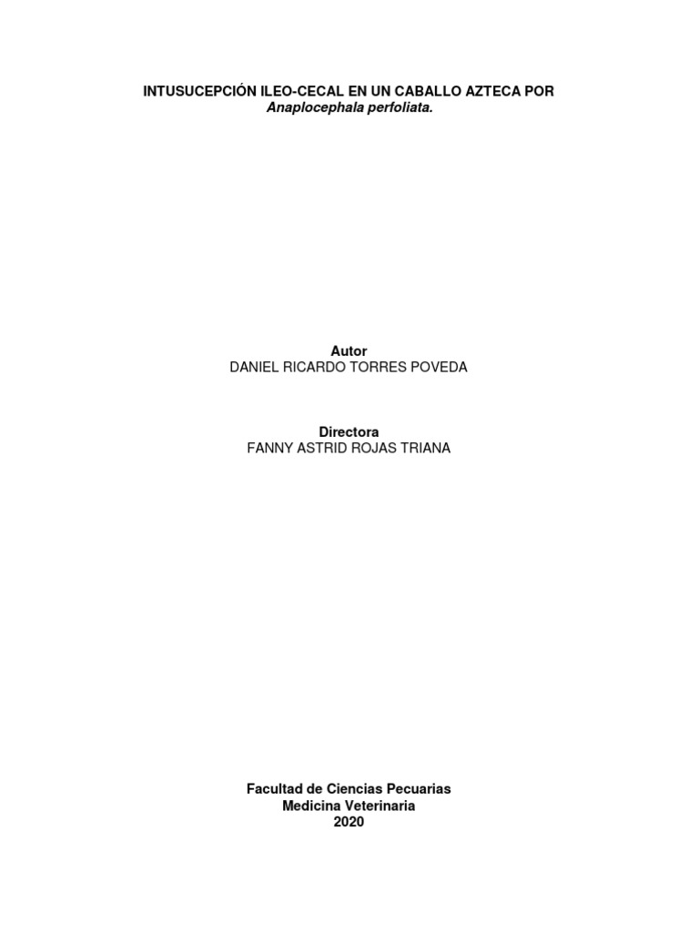 Intususcepci n ileocecal en un caballo azteca por a perfoliata pdf