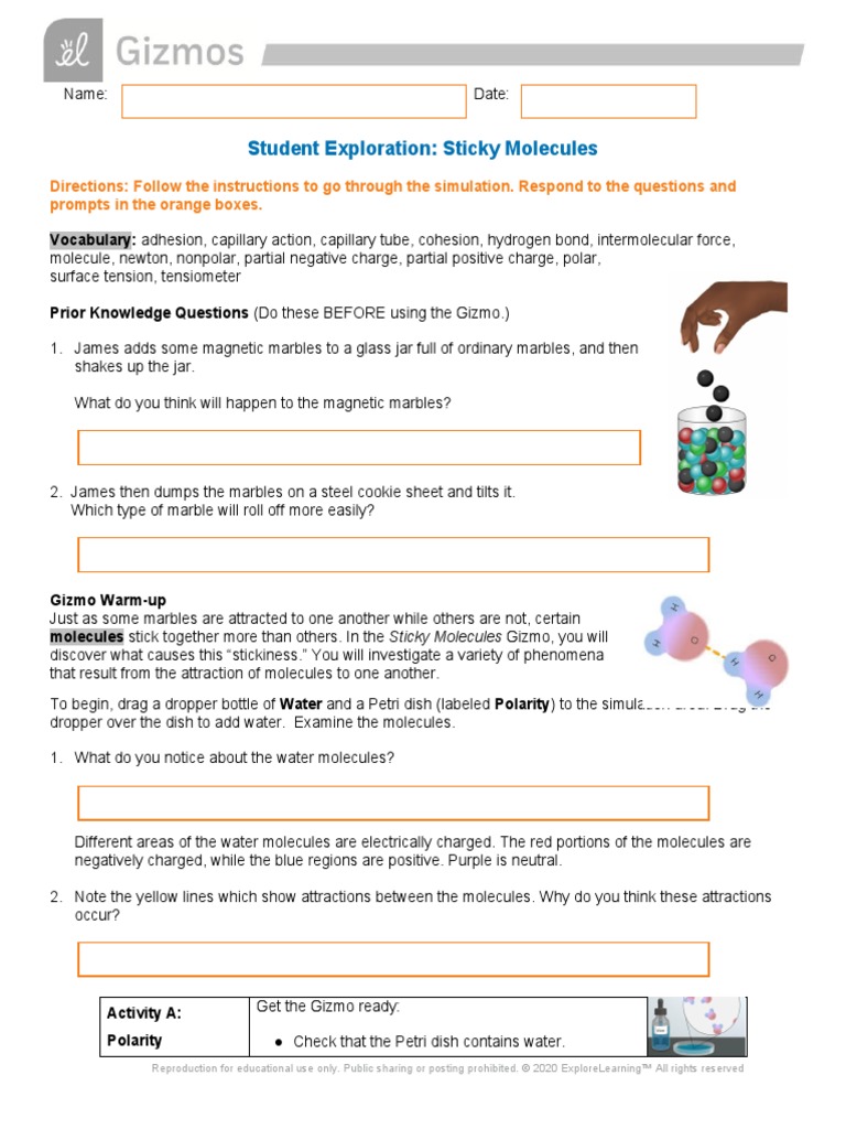 Sticky Molecules - Student | PDF | Chemical Polarity | Surface Tension