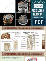 9 Áreas Funcionales 230602 114618