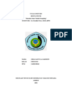 Tugas Ke 2 BIOSTATISTIK-Rika Santi La Sahirun