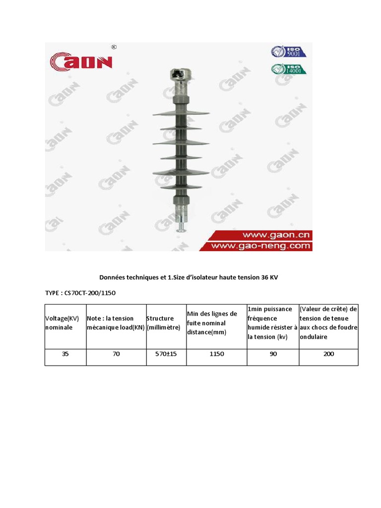 Isolateur Haute Tension 36 KV Techniques | PDF
