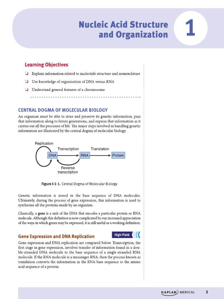 Chapter 1 Nucleic Acid Structure and Organization PDF