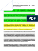 Ejemplo de Redaccion de Perfil o Gran Visión de Un Proyecto de Inversión