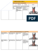 Miología Cuello Tronco y MMII
