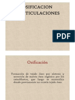 PDF Osificación y Articulaciones 2022