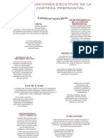 Desarrollo de Las Funciones Ejecutivas de La Corteza Prefrontal