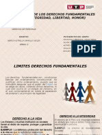 Limitaciones de Los Derechos Fundamentales. 1