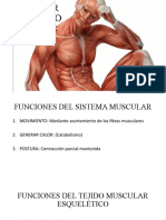 Fisiología Tejido Muscular