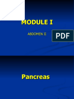 Pancreas