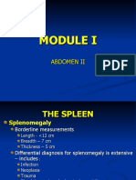 Spleen