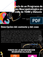 Eficacia de Un Programa de Intervención Neuropsicológica en Un Caso de TDAH y Dislexia