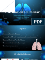 Circulación Pulmonar