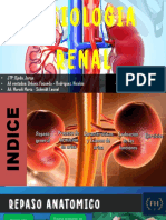 Fisiología Renal