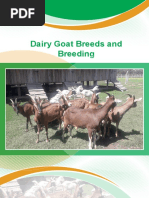 Dairy Module Breeds and Selection | PDF | Dairy Cattle | Cattle