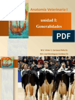 Unidad I - Generalidades