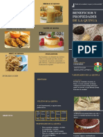 Triptico de Los Beneficion y Propediades de La Quinua