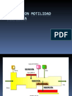 2do Certamen Alteracion Motilidad Esofagica