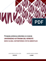 Ensayo - M1 Principales Problemas Ambientales en El Planeta