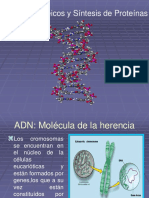 P1-Ácidos Nucleicos 1