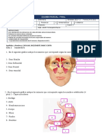 Examen Anatomia Nancy