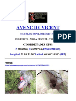 AVENC DE VICENT