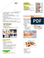 Disturbances in Visual and Auditory Function Slide 43 67