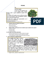 Ficha de Trabajo Miercoles 12 de Julio