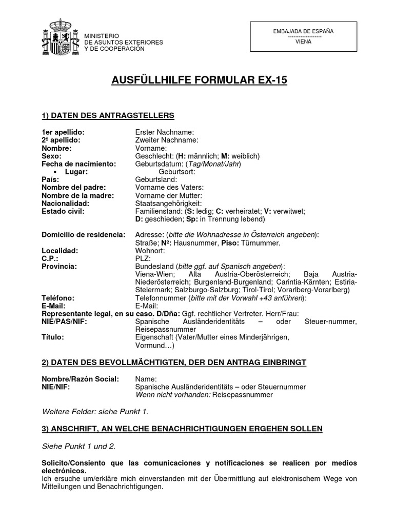 Ausfu Llhilfe Formular Ex 15 | PDF