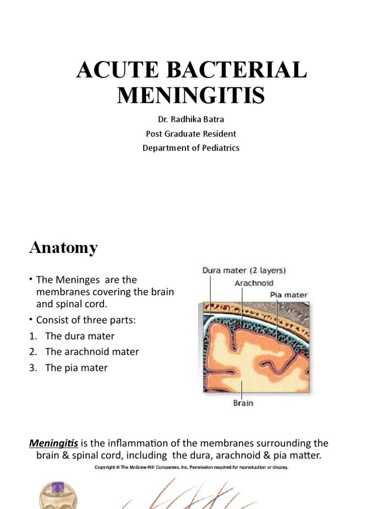 Acute Bacterial Meningitis in Pediatrics | PDF | Meningitis | Medical ...