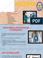 Principios y Funciones de Enfermeria Tema