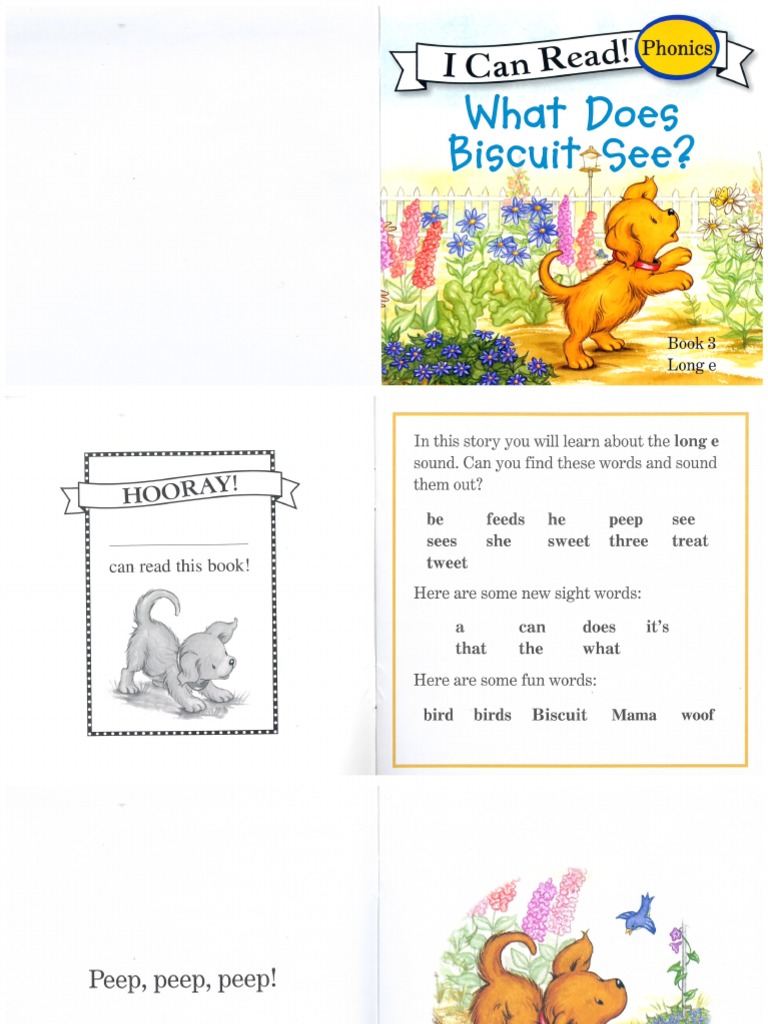 Book 3 Long E What Does Biscuit See PDF