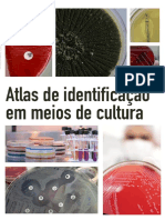 Atlas Identificacao em Meios de Cultura
