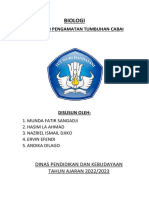 Biologi: Praktikum Pengamatan Tumbuhan Cabai