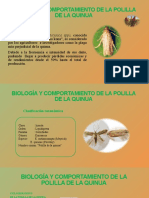Biología y Comportamiento de La Polilla de La Quinua-Pamela