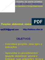 Punçoes Abdominal Vesical e Torácica 2017 2alunos Ilovepdf Compressed