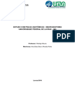 Estudo Com Peças Anatômicas I