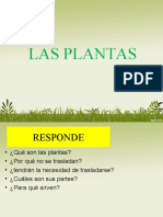 LAS Plantas