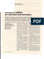 Caring For Rabbits 1995